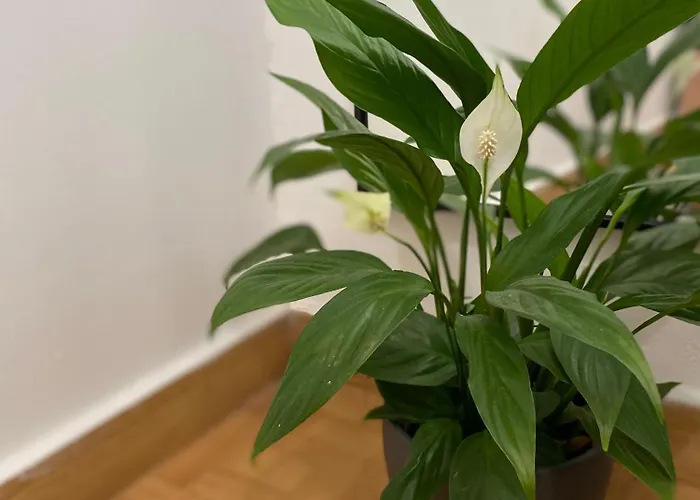 Quarto Mirante Do Tejo Homestay